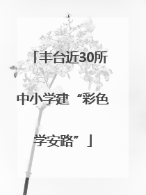 丰台近30所中小学建“彩色学安路”