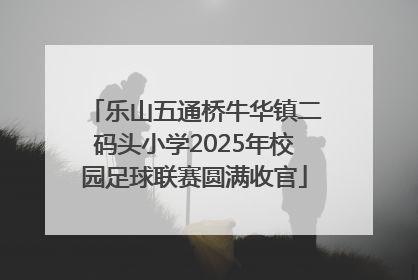 乐山五通桥牛华镇二码头小学2025年校园足球联赛圆满收官