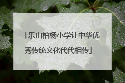 乐山柏杨小学让中华优秀传统文化代代相传