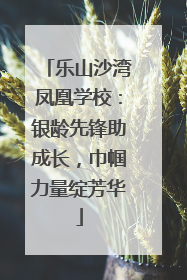 乐山沙湾凤凰学校：银龄先锋助成长，巾帼力量绽芳华