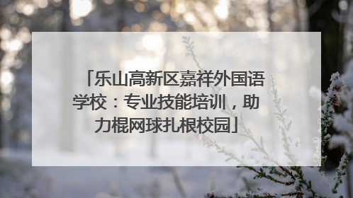 乐山高新区嘉祥外国语学校：专业技能培训，助力棍网球扎根校园