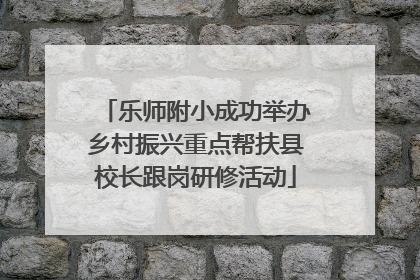 乐师附小成功举办乡村振兴重点帮扶县校长跟岗研修活动