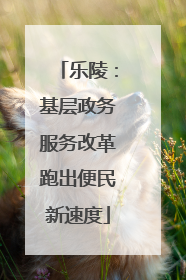 乐陵：基层政务服务改革跑出便民新速度