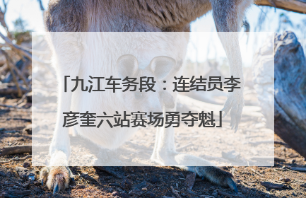 九江车务段：连结员李彦奎六站赛场勇夺魁