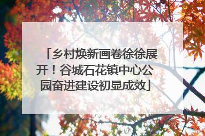 乡村焕新画卷徐徐展开！谷城石花镇中心公园奋进建设初显成效