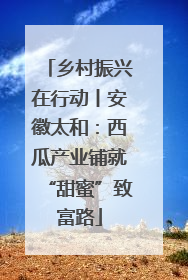 乡村振兴在行动丨安徽太和：西瓜产业铺就“甜蜜”致富路