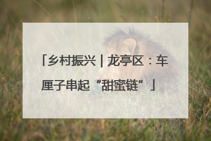 乡村振兴｜龙亭区：车厘子串起“甜蜜链”