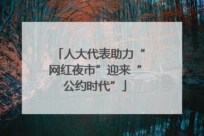 人大代表助力“网红夜市”迎来“公约时代”