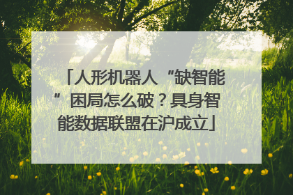 人形机器人“缺智能”困局怎么破？具身智能数据联盟在沪成立