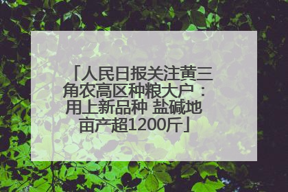人民日报关注黄三角农高区种粮大户：用上新品种 盐碱地亩产超1200斤