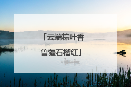 云端粽叶香 鲁疆石榴红