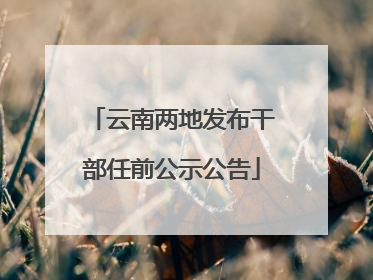 云南两地发布干部任前公示公告