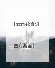 云南花香引四方游客