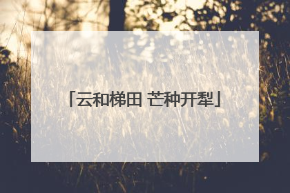 云和梯田 芒种开犁
