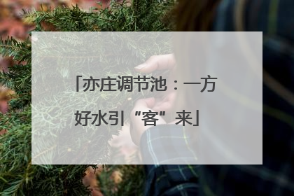 亦庄调节池：一方好水引“客”来
