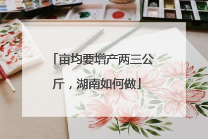 亩均要增产两三公斤，湖南如何做