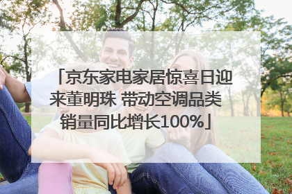 京东家电家居惊喜日迎来董明珠 带动空调品类销量同比增长100%