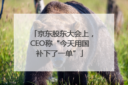 京东股东大会上，CEO称“今天用国补下了一单”
