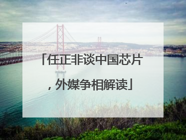 任正非谈中国芯片，外媒争相解读