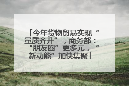 今年货物贸易实现“量质齐升”，商务部：“朋友圈”更多元，“新动能”加快集聚