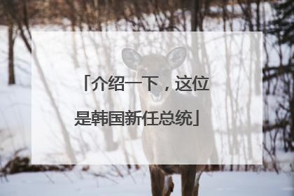介绍一下，这位是韩国新任总统