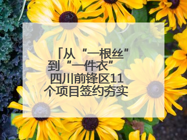 从“一根丝”到“一件衣” 四川前锋区11个项目签约夯实轻纺全产业链