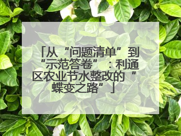从“问题清单”到“示范答卷”：利通区农业节水整改的“蝶变之路”