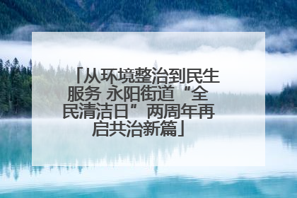 从环境整治到民生服务 永阳街道“全民清洁日”两周年再启共治新篇