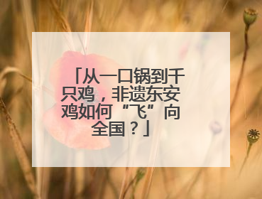 从一口锅到千只鸡，非遗东安鸡如何“飞”向全国？