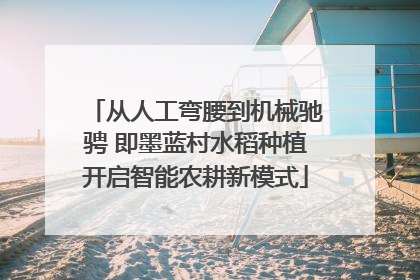 从人工弯腰到机械驰骋 即墨蓝村水稻种植开启智能农耕新模式