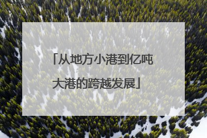 从地方小港到亿吨大港的跨越发展