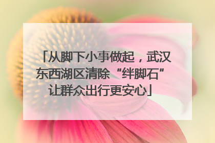 从脚下小事做起，武汉东西湖区清除“绊脚石”让群众出行更安心