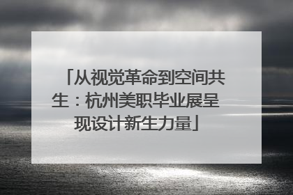 从视觉革命到空间共生：杭州美职毕业展呈现设计新生力量