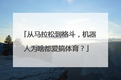 从马拉松到格斗，机器人为啥都爱搞体育？