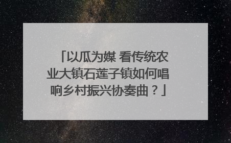 以瓜为媒 看传统农业大镇石莲子镇如何唱响乡村振兴协奏曲？