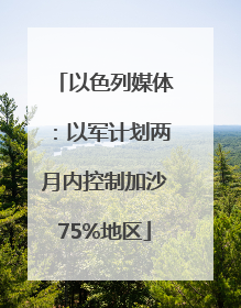 以色列媒体：以军计划两月内控制加沙75%地区