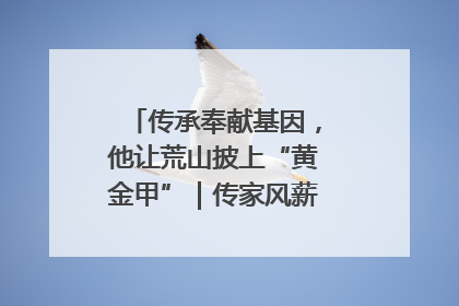 传承奉献基因，他让荒山披上“黄金甲”｜传家风薪火 颂家国情深