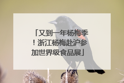 又到一年杨梅季！浙江杨梅赴沪参加世界级食品展