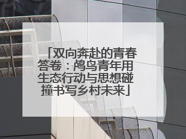 双向奔赴的青春答卷：鸬鸟青年用生态行动与思想碰撞书写乡村未来