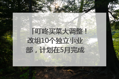 叮咚买菜大调整！改组10个独立事业部，计划在5月完成App端全面改版