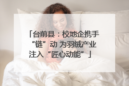 台前县：校地企携手“链”动 为羽绒产业注入“匠心动能”