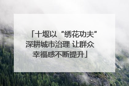 十堰以“绣花功夫”深耕城市治理 让群众幸福感不断提升