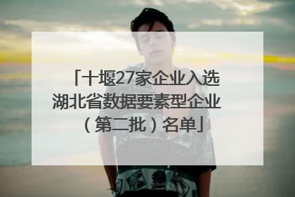 十堰27家企业入选湖北省数据要素型企业（第二批）名单