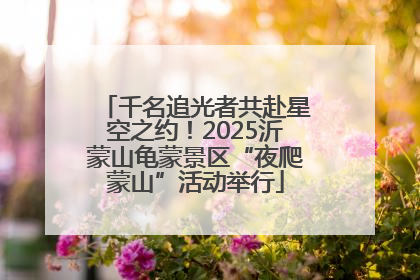 千名追光者共赴星空之约！2025沂蒙山龟蒙景区“夜爬蒙山”活动举行