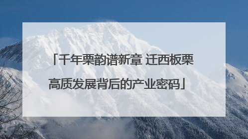 千年栗韵谱新章 迁西板栗高质发展背后的产业密码