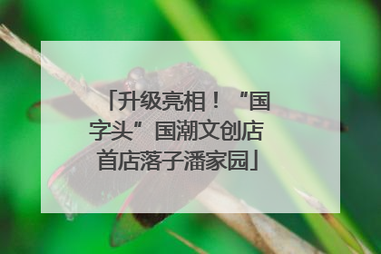 升级亮相！“国字头”国潮文创店首店落子潘家园