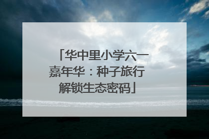 华中里小学六一嘉年华：种子旅行解锁生态密码