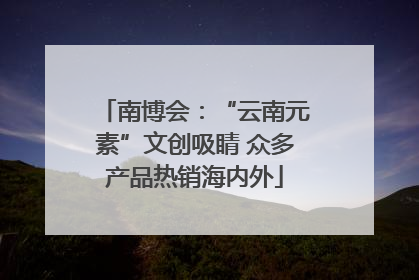 南博会：“云南元素”文创吸睛 众多产品热销海内外