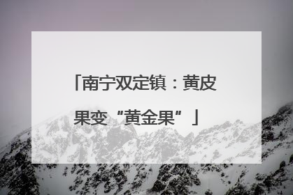 南宁双定镇：黄皮果变“黄金果”