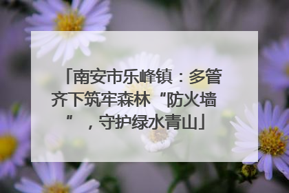 南安市乐峰镇：多管齐下筑牢森林“防火墙”，守护绿水青山